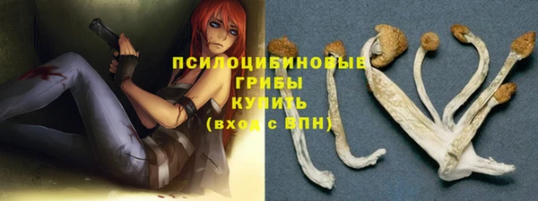 бошки Абаза