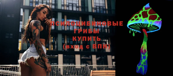 apvp Абинск