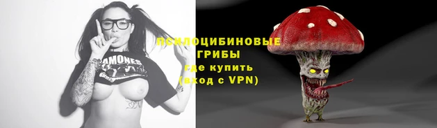 бошки Абаза